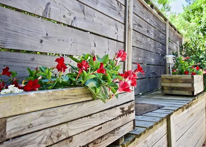 3 Dans Le Centre Du Cap Ferret * Lège-Cap-Ferret