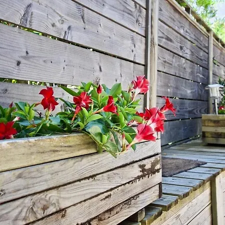 3 Dans Le Centre Du Cap Ferret * Леж-Кап-Ферре